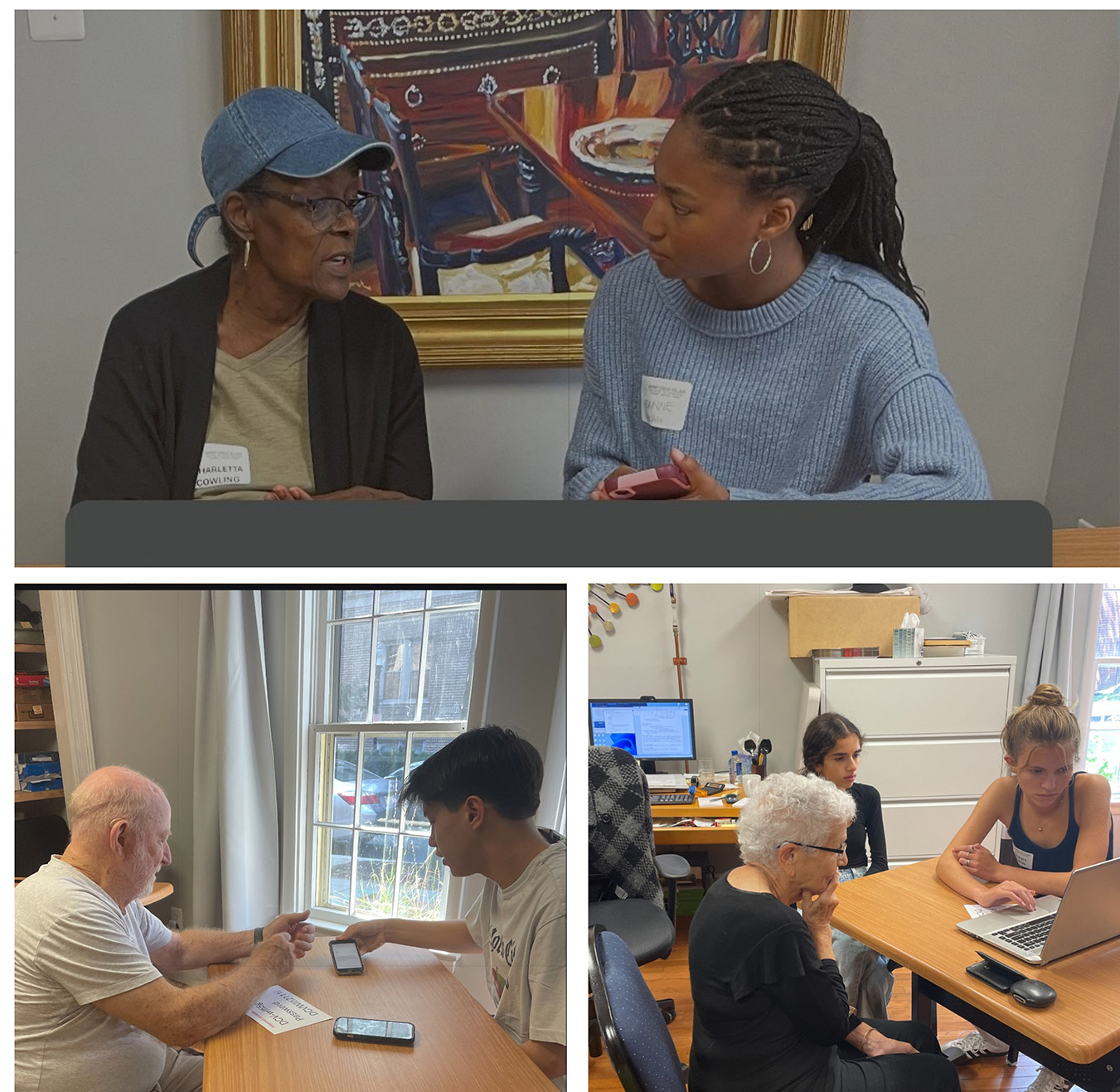 Technology Support such as computer troubleshooting and help in using new devices.